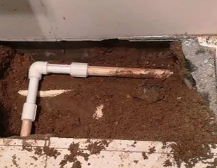 岳塘测漏水哪家好