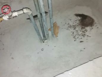 岳塘卫生间测漏水价格明细